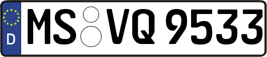MS-VQ9533