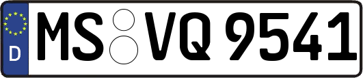 MS-VQ9541