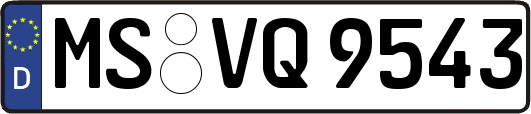 MS-VQ9543