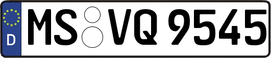 MS-VQ9545