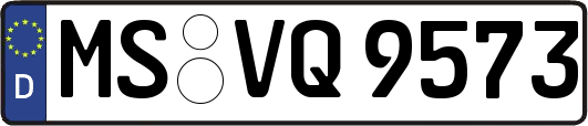 MS-VQ9573