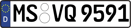 MS-VQ9591