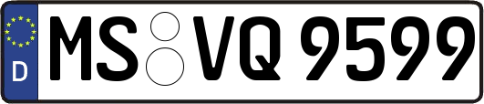 MS-VQ9599