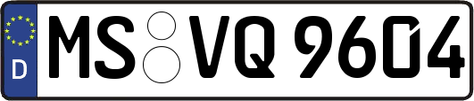 MS-VQ9604