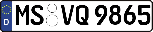 MS-VQ9865
