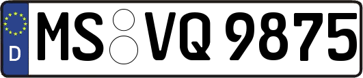 MS-VQ9875