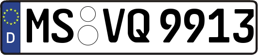 MS-VQ9913
