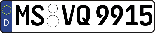 MS-VQ9915