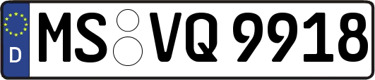 MS-VQ9918