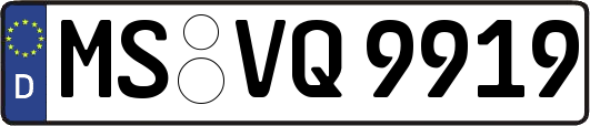 MS-VQ9919
