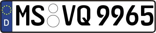 MS-VQ9965