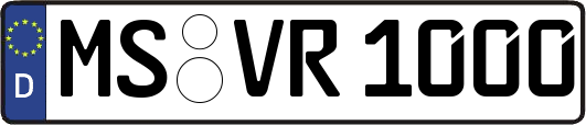 MS-VR1000
