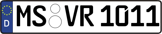 MS-VR1011