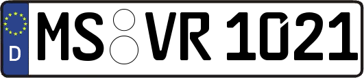 MS-VR1021