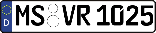 MS-VR1025