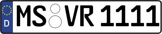 MS-VR1111