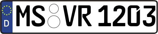 MS-VR1203