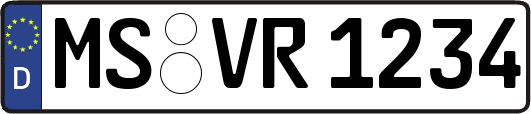 MS-VR1234
