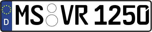 MS-VR1250