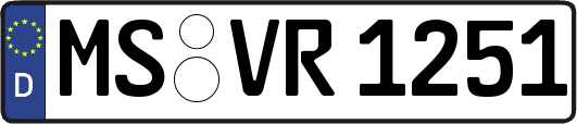 MS-VR1251