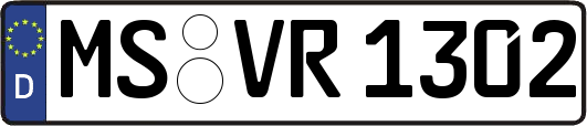 MS-VR1302