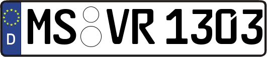 MS-VR1303