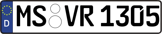 MS-VR1305