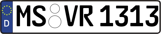 MS-VR1313