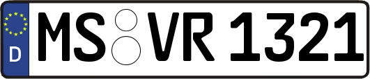 MS-VR1321