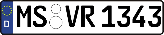 MS-VR1343