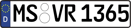 MS-VR1365