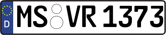 MS-VR1373