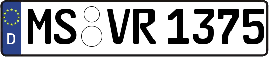 MS-VR1375