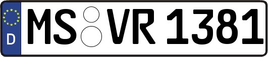 MS-VR1381