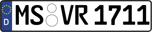 MS-VR1711