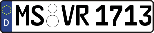 MS-VR1713