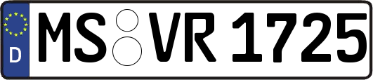 MS-VR1725