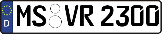 MS-VR2300