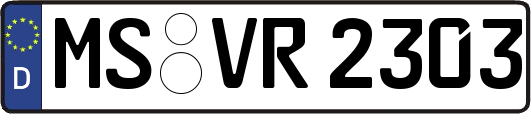 MS-VR2303