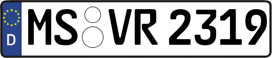 MS-VR2319
