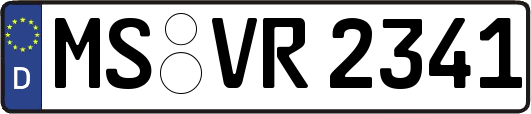 MS-VR2341