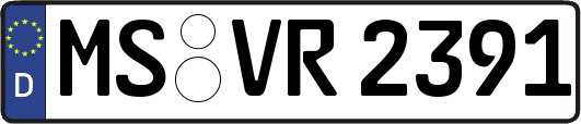 MS-VR2391