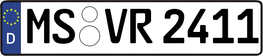 MS-VR2411