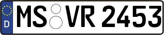 MS-VR2453