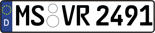 MS-VR2491