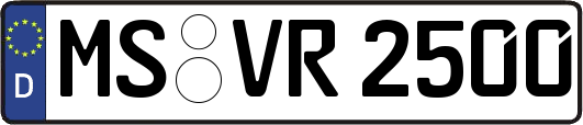 MS-VR2500