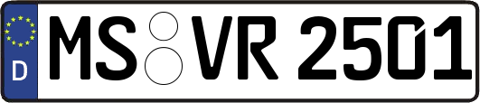 MS-VR2501
