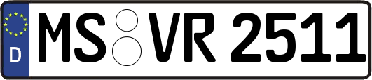 MS-VR2511