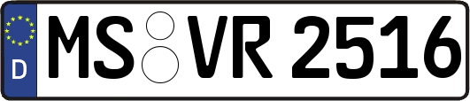 MS-VR2516