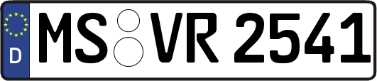 MS-VR2541